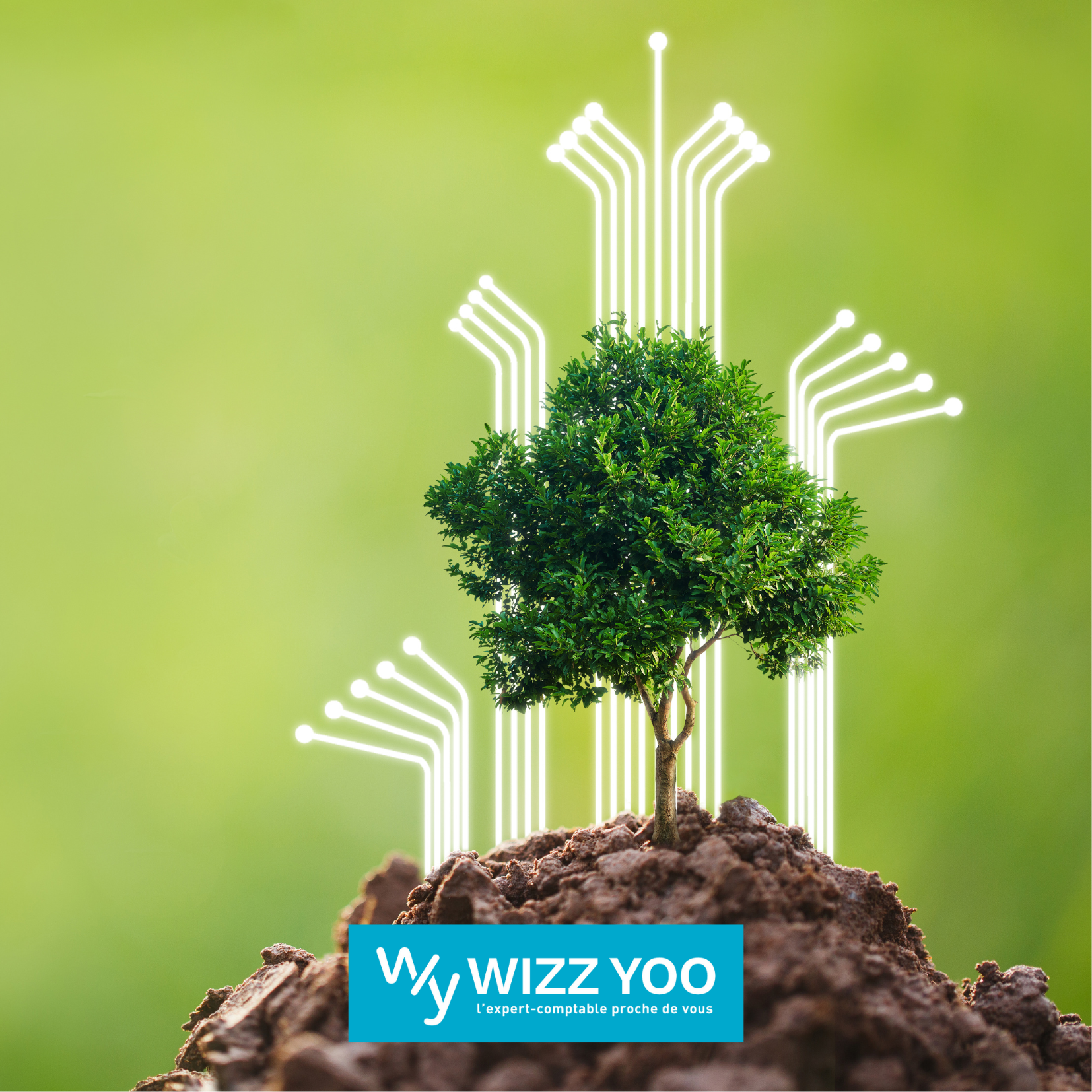 La-rse-un-levier-pour-renforcer-l-image-de-marque-de-votre-entreprise-wizz-yoo